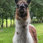 Klondike Nyaraló *