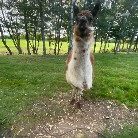 Σπίτι διακοπών Klondike *